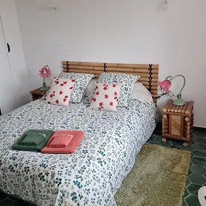 Gentil Coquelicot Séjour chez l'habitant Mirepoix (Ariege)